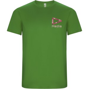 Roly Imola frfi sportpl, Green Fern (T-shirt, pl, kevertszlas, mszlas)