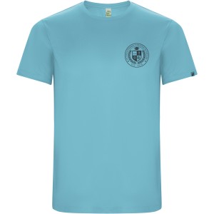 Roly Imola frfi sportpl, Turquois (T-shirt, pl, kevertszlas, mszlas)